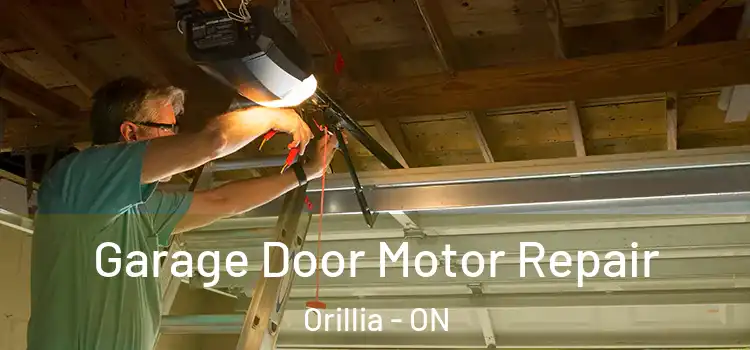  Garage Door Motor Repair Orillia - ON