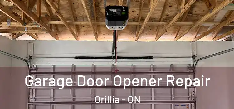  Garage Door Opener Repair Orillia - ON