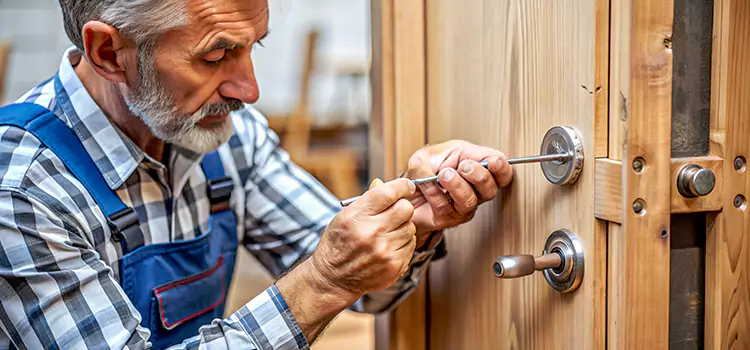 Mortise Replacement Lock Orillia
